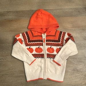 Gymboree Fall Zip Up Sweater